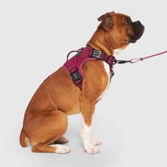 Canada Pooch Plum Complete Control Dog Harness, Size XL - Picture 9 of 9